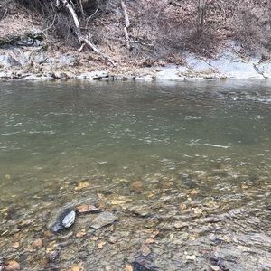 Meet your Posher, Grady